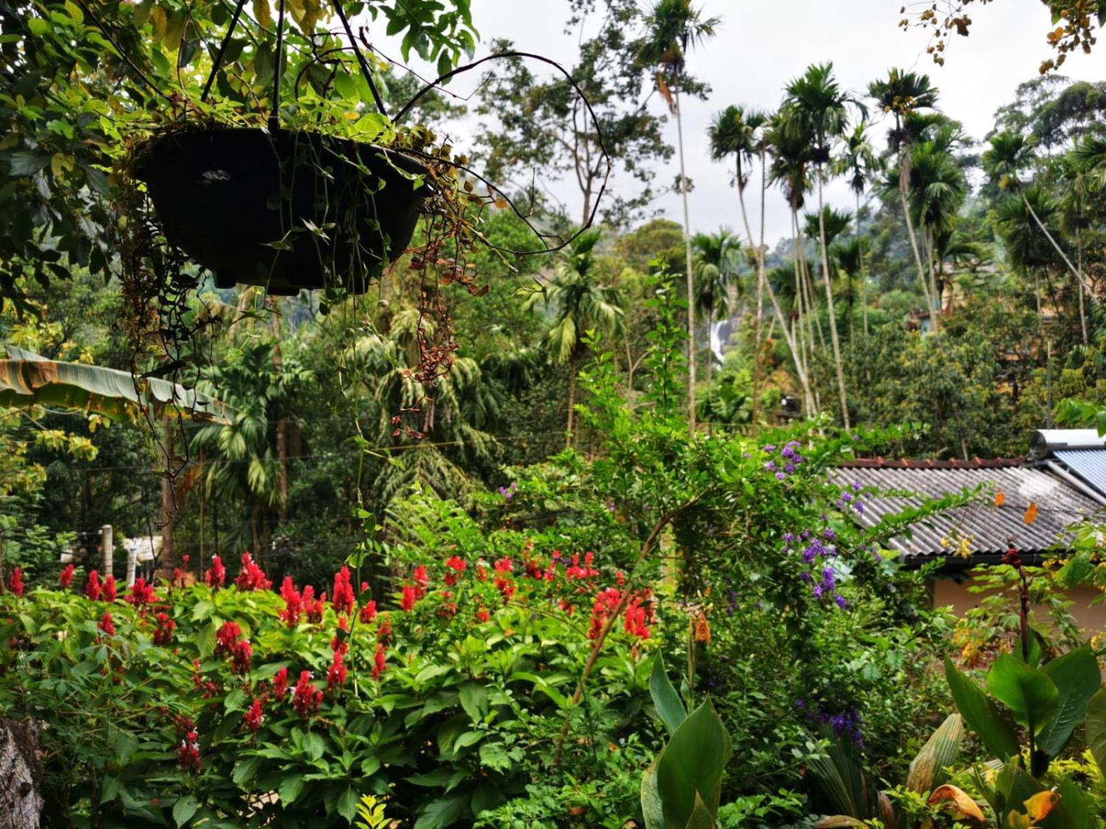 Cozy Homestay Waterfall Road Ella Luaran gambar