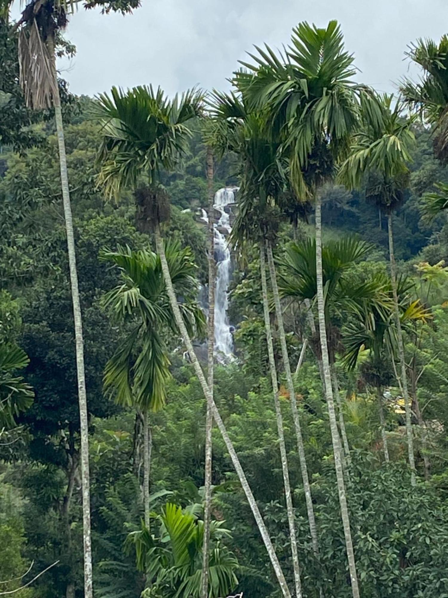 Cozy Homestay Waterfall Road Ella Luaran gambar