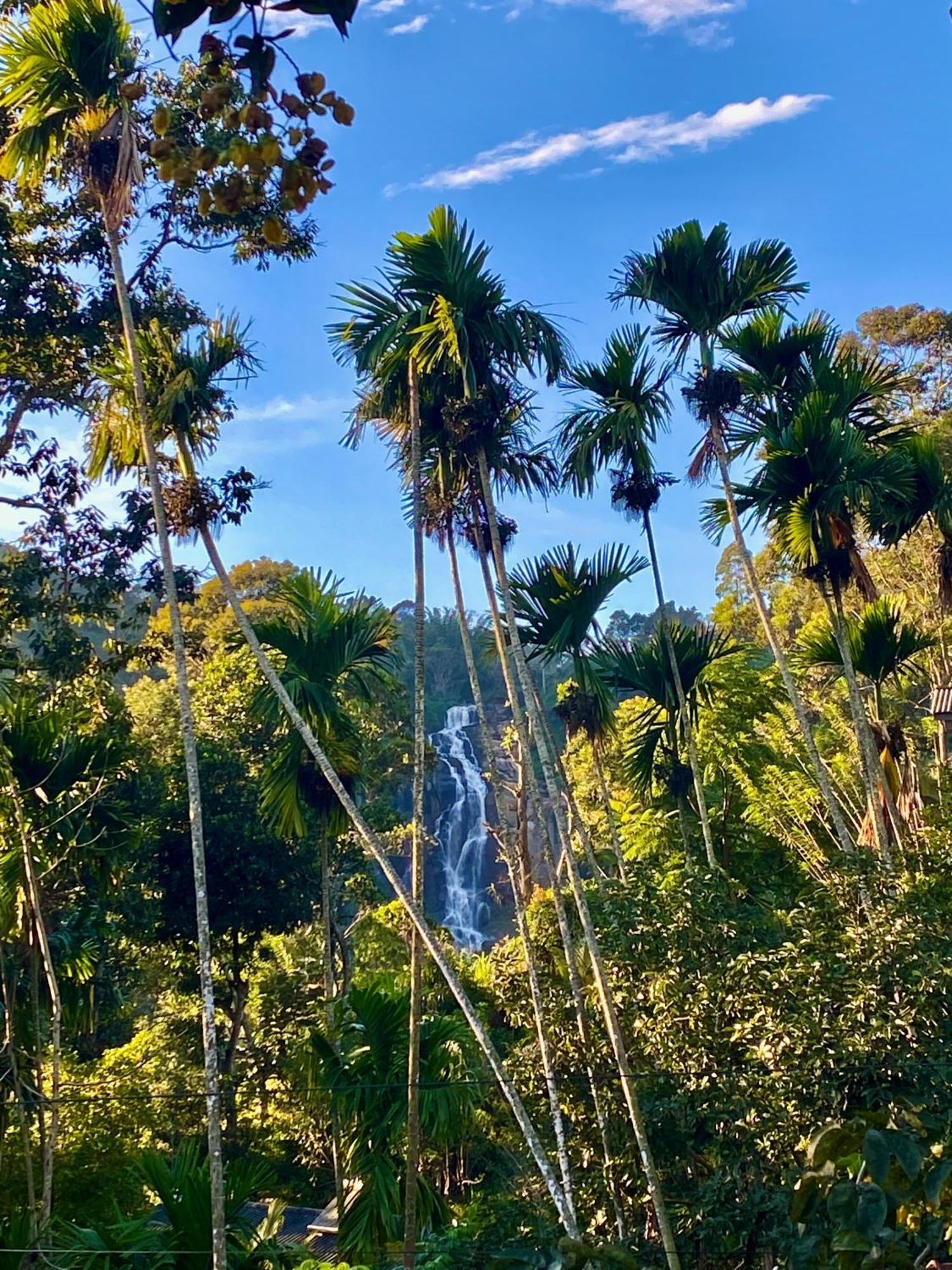 Cozy Homestay Waterfall Road Ella Luaran gambar
